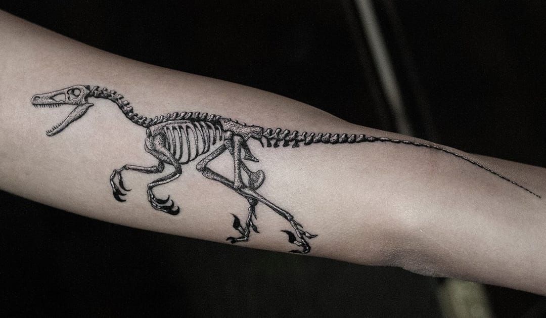 Dinosaur skeleton tattoo on the right calf by Andrew  Skeleton tattoos Dinosaur  tattoos Tattoos with meaning