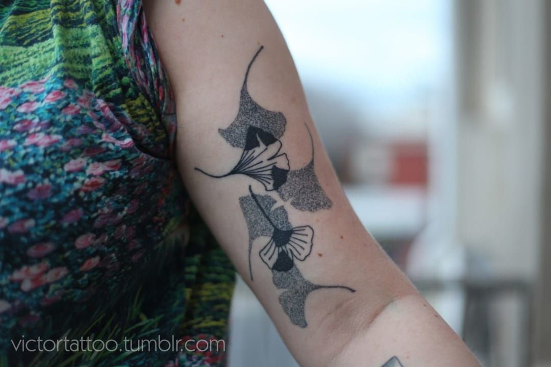 Ginkgo leaves can be used for original graphic designs. Lovely tattoo by Victor J Webster.