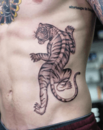 Crawling Tiger