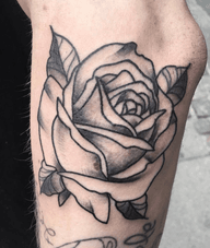 Rose Tattoo