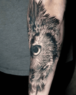Owl Eye