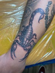 Black and Gray Scorpion Tattoo