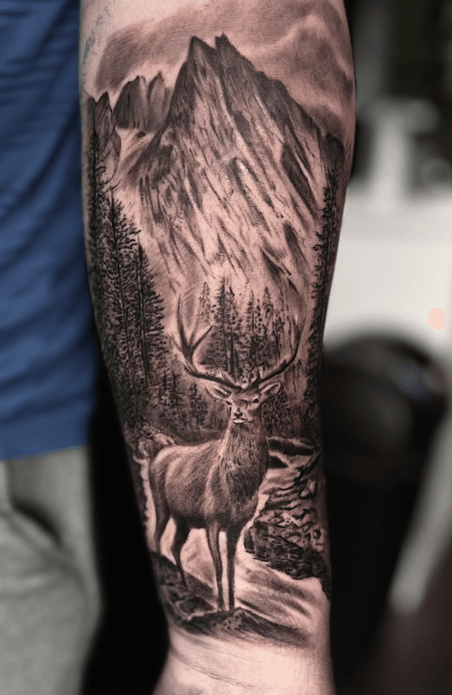 Stag in the Forest