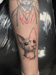 Weeping Sphynx Cat