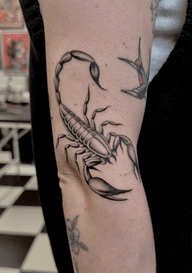 Scorpion Tattoo