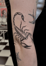 Scorpion Tattoo
