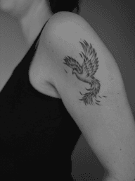 Phoenix Rising