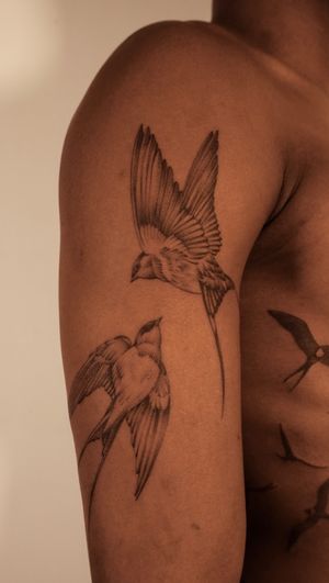 Swallow birds on arm bipoc