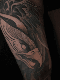 Eagle Head Close-up