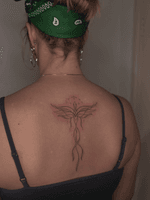 Phoenix Design