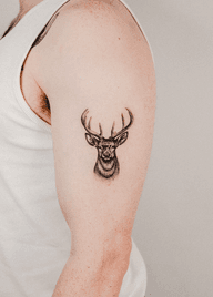 Majestic Deer Head