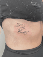 Koi Fish