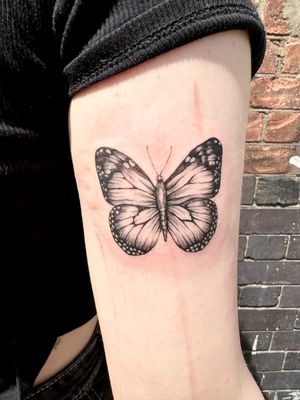 Microrealism - butterfly