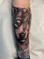 Wolf with Blue Eye and Feathers