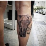 There are many different meanings behind the elephant tattoo because it's a symbol of strength. Elephants symbolize many things, like nature, attitude, prosperity, and strength of character. ... Getting an elephant tattoo is one of the most popular tattoos in the world, throughout many different cultures.