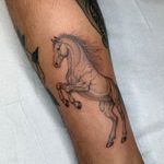 Reaching Horse Tattoo