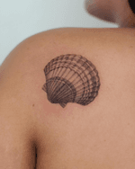 Seashell
