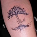 Family Tree Silhouette