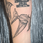 Pterodactyl Tattoo