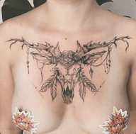 Skull with antlers