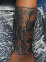 Realistic Elephant at Sunset