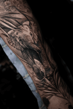Elephant Tattoo