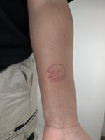 Sleeping Cat Tattoo