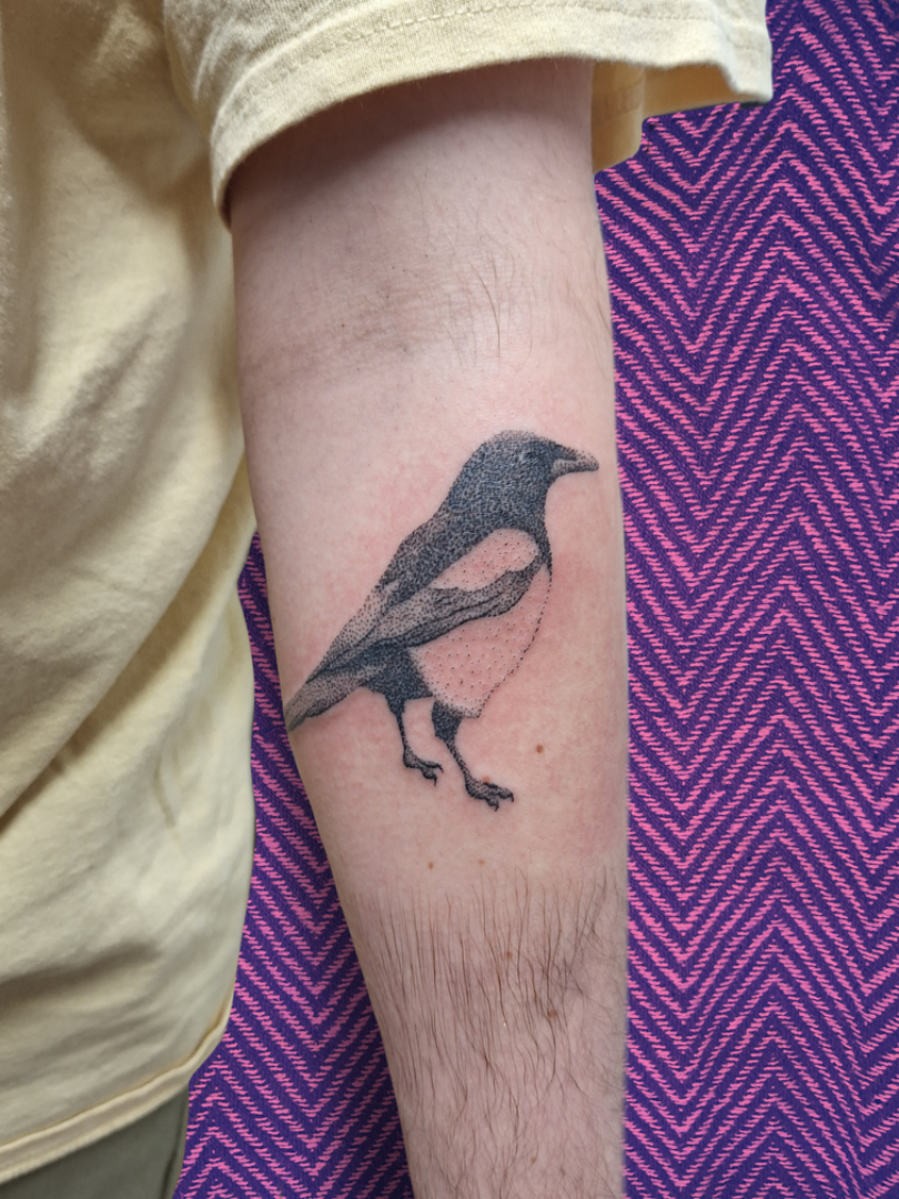 Magpie bird by Rachel Howell • Tattoodo