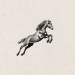 Rearing Horse Sketch