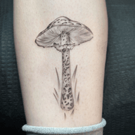 Mushroom Tattoo