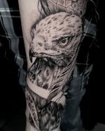 doing some animals,eagle…#eagletattoo #animalstattoo #blackandgreytattoo #realismtattoo #beaumontartist #texastattoo #texastattooartist