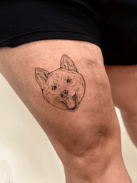 Dog's Head