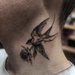 Swallow and Rose