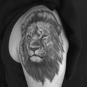 Lion portrait made at Invisible NYC #lion #realistic #portrait #tattoo #blackandgrey #chrisgarver #invisiblenyc