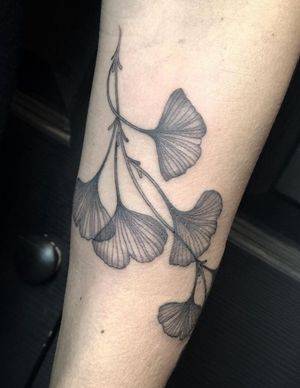 Get a stunning illustrative tattoo of ginko leaves by the talented artist Amandine Canata for a unique and beautiful look.