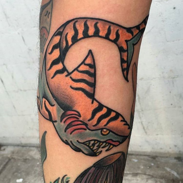 Traditional shark tattoo  Tattoo and design by Christopher   Flickr