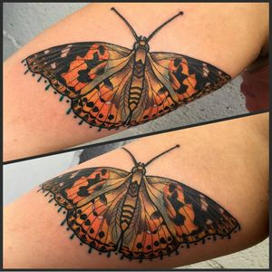 A beautiful butterfly tattoo by amanda_marie_tattooer