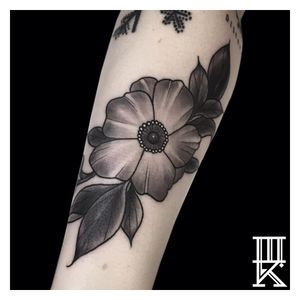Tattoo by Amanda Rodriguez. Amanda works at our Brooklyn location, and is available for walk-ins on Wednesday and Thursday! For appointment inquiries, email Amanda at amandatattooer@gmail.com #anemone #blackandgrey #flowertattoo #floraltattoo #threekingstattoo #threekingsbrooklyn