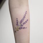 Lovely lavender by georgiagreynyc