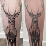 Another healed example, original on the left done in April 2021 and recent photo on the right January 2025. #healedtattoo #finelinetattoo #graphictattoo #stagtattoo #newforesttattoo #southamptontattoo #southamptontattooartist #southamptontattoostudio #lymingtontattoo #bournemouthtattoo #bournemouthtattooartist #bournemouthtattoostudio #londontattoo #uktattoo