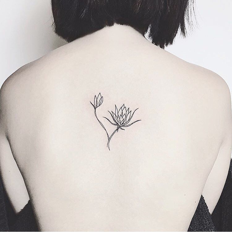 Desert Wild Temporary Tattoos  NatureTats