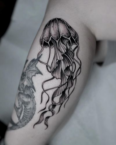 Jellyfish