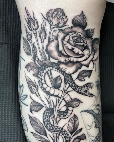 Elegant black and gray illustrative tattoo featuring a mesmerizing snake intertwined with a blooming rose, expertly crafted by Amandine Canata.