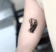Realistic Elephant