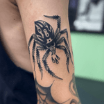 Spider Tattoo