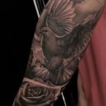 Realistic tattoo featuring a dove and rose by Cara Hayward, expertly done in chicano style.