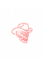 Skull with Cowboy Hat