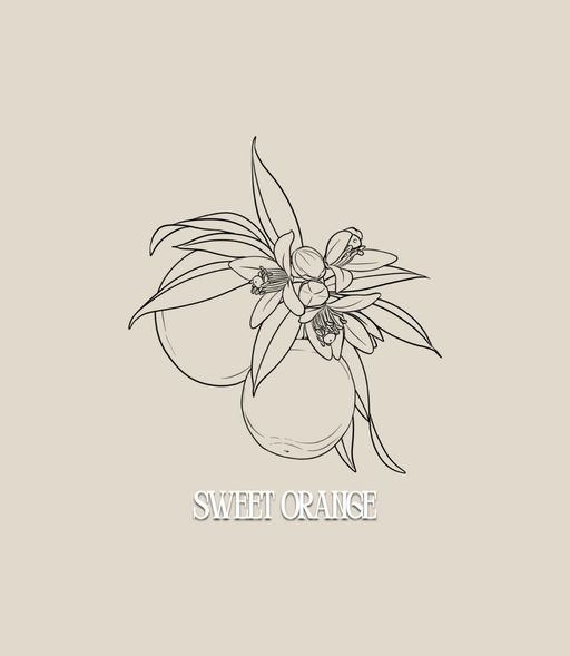 This design can be done in black and gray or full color (what you see is line work only, the final tattoo will include my realism style of shading).
fine line botanical floral tattoo