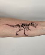 Dinosaur Skeleton