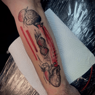 Mind. Body. Soul. From thought to feeling—everything is connected. 🧠🧬❤️ . Thanks @alvaroortegac for the trust and good chats! . @sphynxtattoodublin . #blackandredtattoo #customtattoos #tattooinspiration #dublintattoo #colortattoo